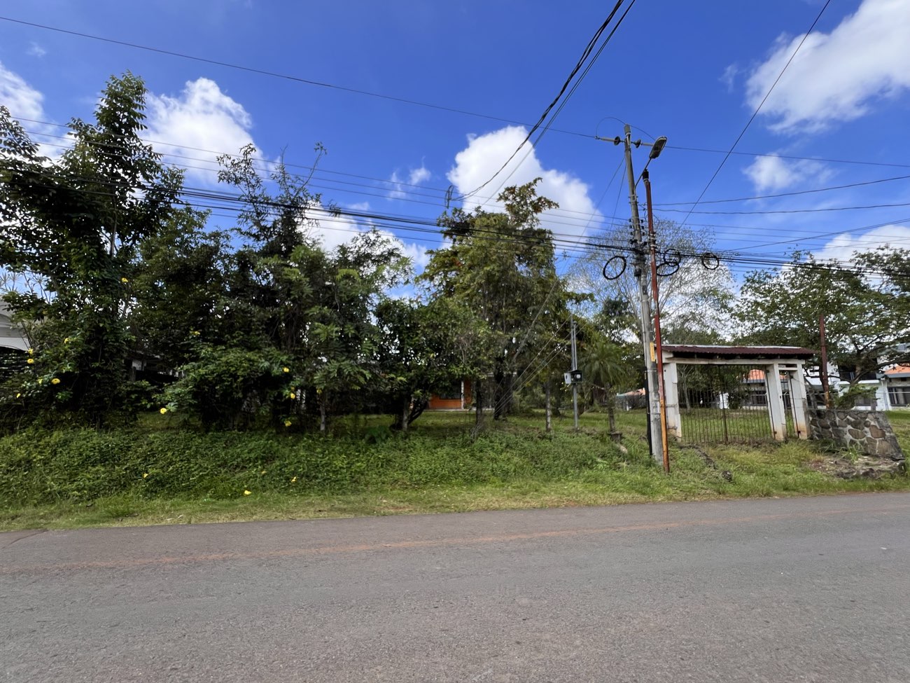 The 4.57-hectare parcel seen from the paved public road that fronts it, in Orotina, Alajuela