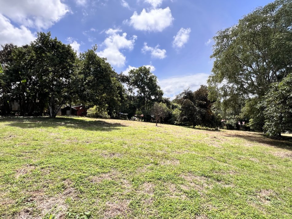 The property — Orotina Properties