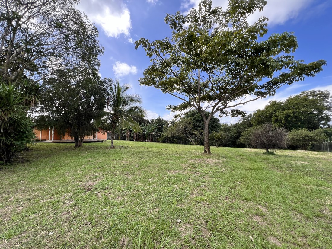 Open, developable ground on the parcel with a mature tree and the hills beyond